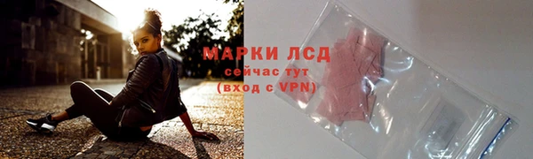 сатива Краснослободск