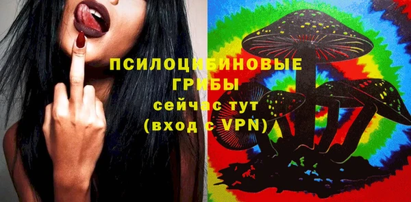 сатива Краснослободск