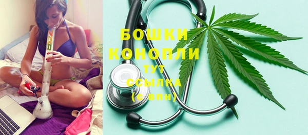 Альфа ПВП Корсаков