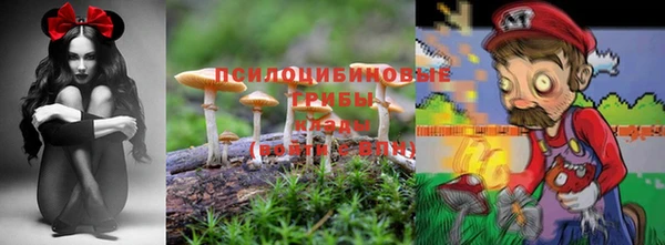 Альфа ПВП Корсаков