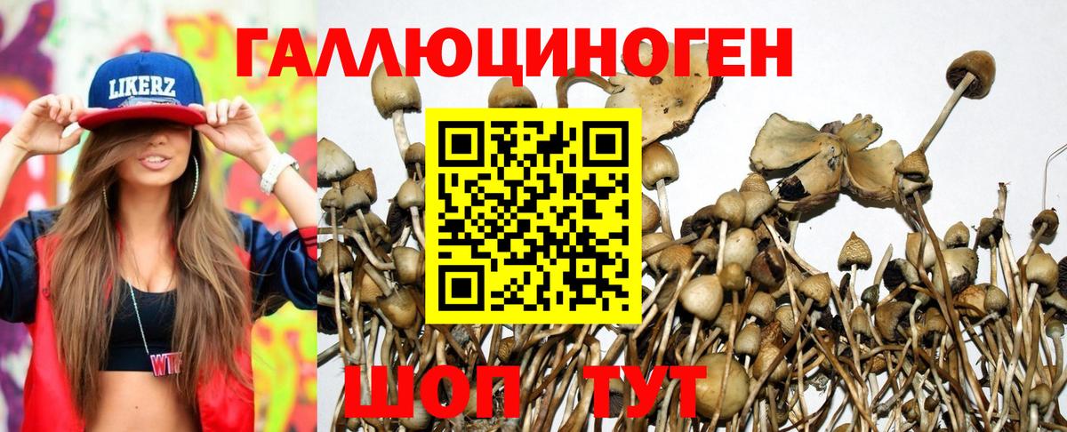 Псилоцибиновые грибы мухоморы  Вход с VPN  Чебаркуль 