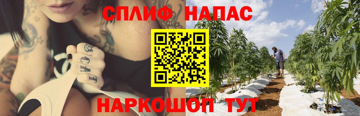 Бошки марихуана THC 21% Чебаркуль